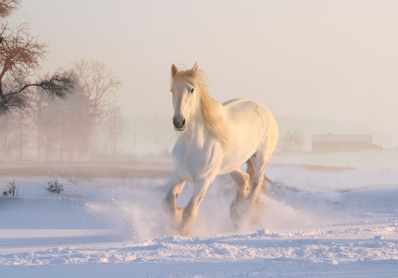 Close-up paardendesign op luxe gordijnstof.
